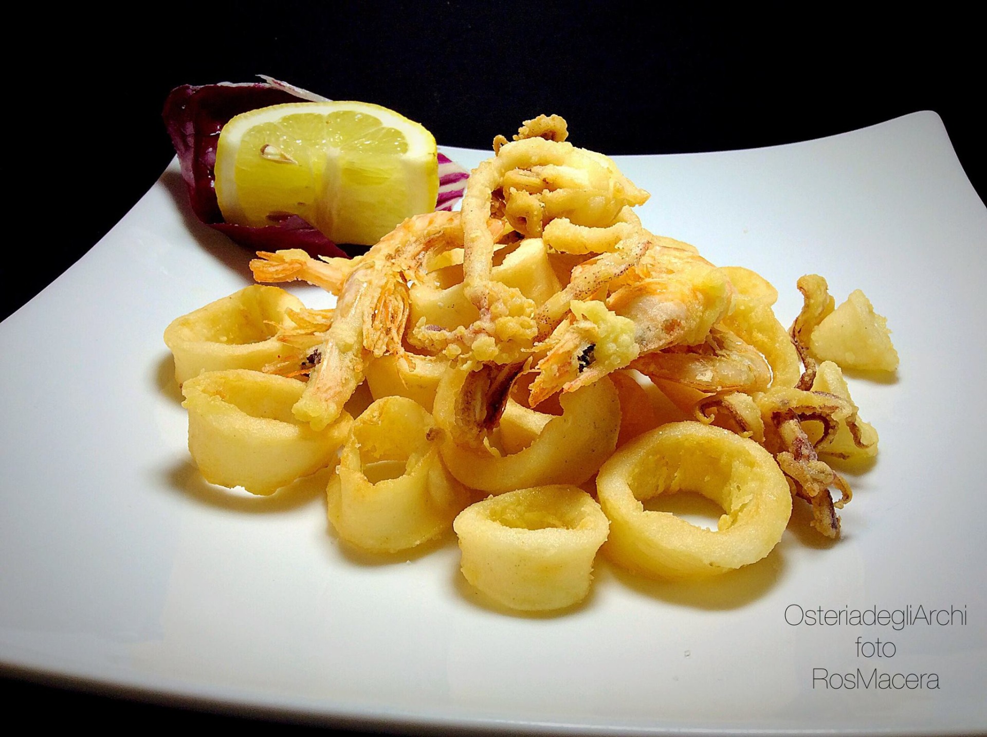 fritto di calamari